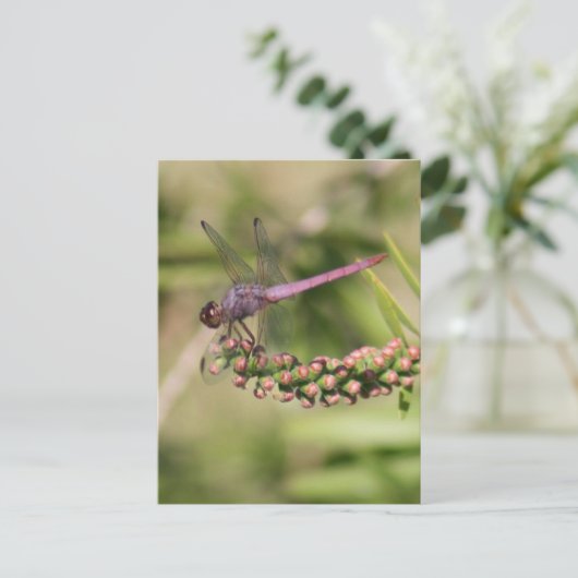 Dragonfly-Foto Postkarte (Stehend Vorderseite)