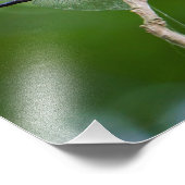 Dragonfly Fotodruck (Ecke)