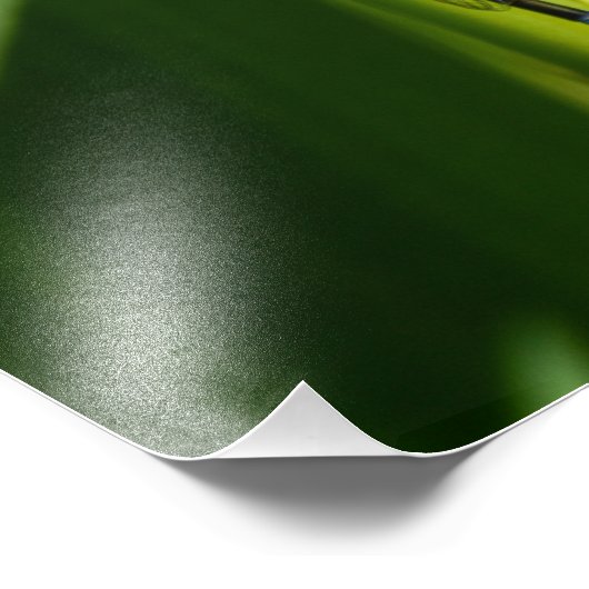 Dragonfly Fotodruck (Ecke)