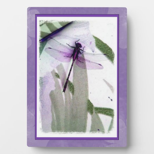 Dragonfly-Fotografie Art Plaque Fotoplatte (Vorderseite)