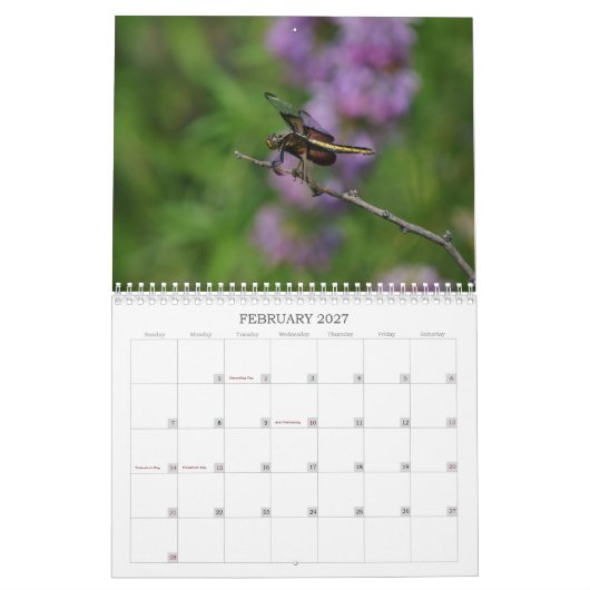 Dragonfly-Fotokalender Kalender (Feb 2027)