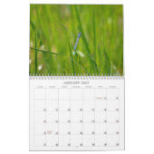 Dragonfly-Fotokalender Kalender (Jan 2027)