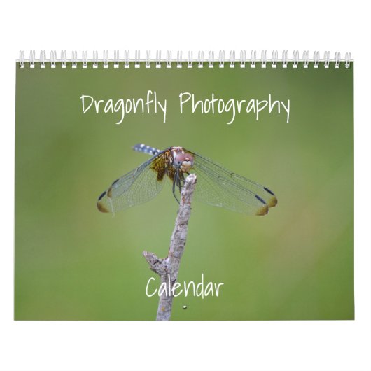 Dragonfly-Fotokalender Kalender (Titelbild)