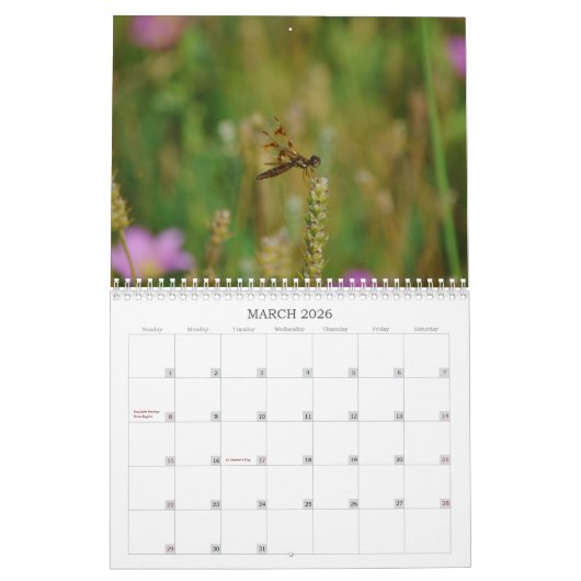 Dragonfly-Fotokalender Kalender (Mär 2026)