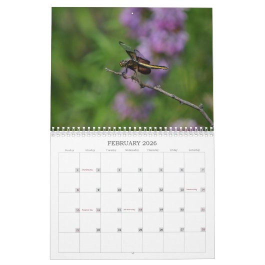 Dragonfly-Fotokalender Kalender (Feb 2026)