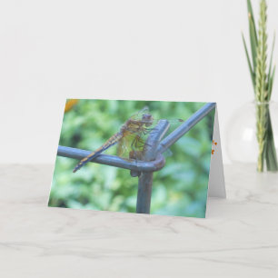 "Dragonfly Garden" Get Well Card #2 Karte