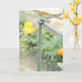 "Dragonfly Garden" Get Well Card #3 Karte (Gelbe Blume)