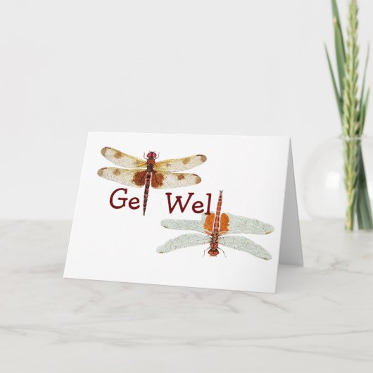 Dragonfly Get Well Card Karte (Vorderseite)