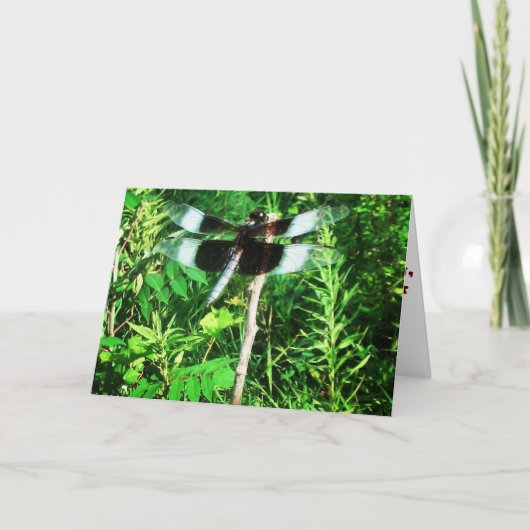 "Dragonfly" Get Well Card Karte (Vorderseite)