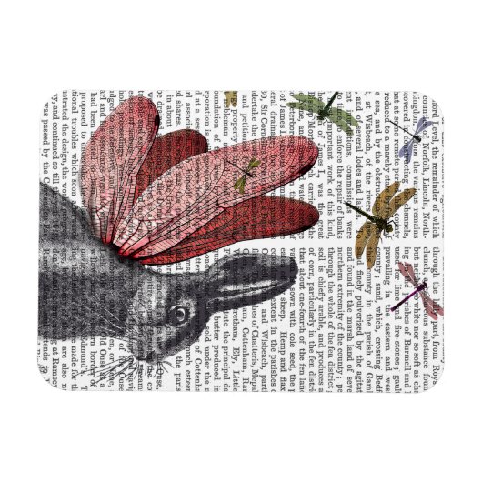 Dragonfly Hare Magnet (Horizontal)