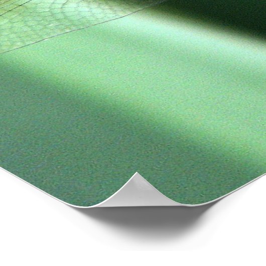 Dragonfly Hello Poster (Ecke)