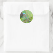 Dragonfly-Himbeersticker Runder Aufkleber (Tasche)