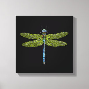 Dragonfly-Illustration auf schwarzem Hintergrund Leinwanddruck