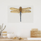 Dragonfly-Illustration Poster (Küche)