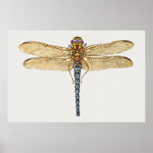 Dragonfly-Illustration Poster (Vorne)