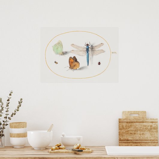 Dragonfly Illustration Poster (Küche)