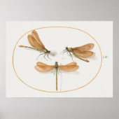 Dragonfly Illustration Poster (Vorne)
