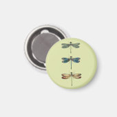 Dragonfly-Illustrationen Magnet (Vorderseite/Rückseite)