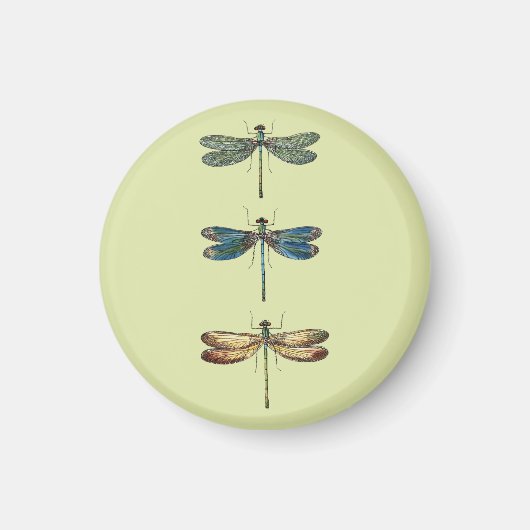 Dragonfly-Illustrationen Magnet (Vorne)
