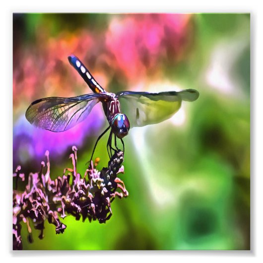 Dragonfly in grüner und blauer realistischer Maler Fotodruck (Vorne)