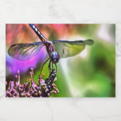 Dragonfly in grüner und blauer realistischer Maler Lebensmitteletikett (Einzelnes Label)