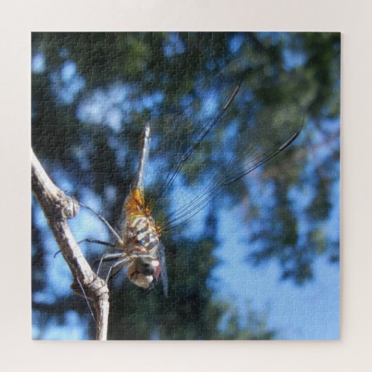 Dragonfly Insect Nature Macro Foto Puzzle (Horizontal)