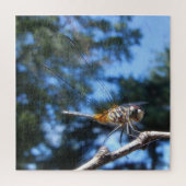Dragonfly Insect Nature Macro Foto Puzzle (Vertikal)
