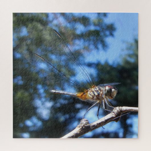 Dragonfly Insect Nature Macro Foto Puzzle (Vertikal)