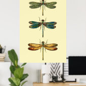 Dragonfly-Insektensammlung Poster (Heimbüro)