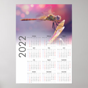 Dragonfly‑Kalender 2022‑Poster – Sonntaglicher Sta Poster