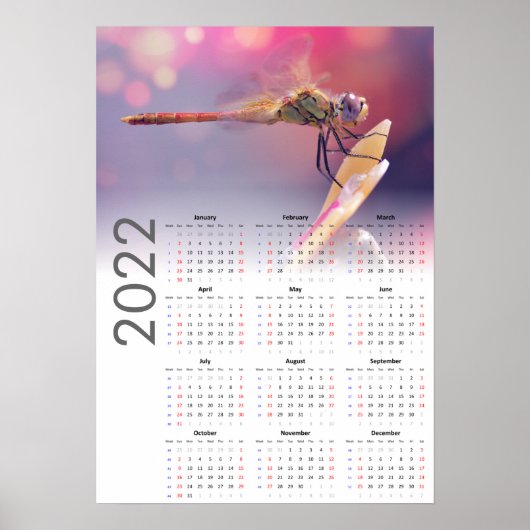 Dragonfly Kalender 2022 Poster - Sonntagsstart (Vorne)