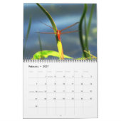 Dragonfly-Kalender 2023 Kalender (Feb 2027)