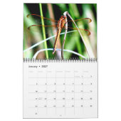 Dragonfly-Kalender 2023 Kalender (Jan 2027)