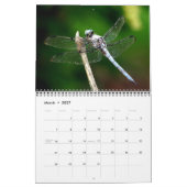 Dragonfly-Kalender 2023 Kalender (Mär 2027)