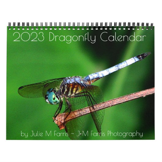 Dragonfly-Kalender 2023 Kalender (Titelbild)