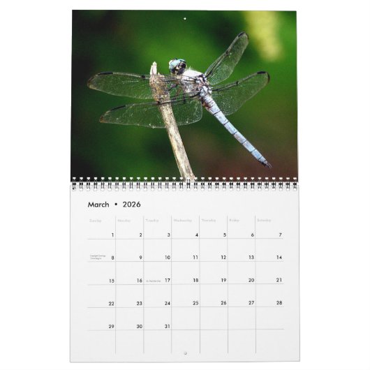 Dragonfly-Kalender 2023 Kalender (Mär 2026)