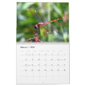 Dragonfly-Kalender 2024 Kalender (Feb 2026)