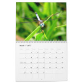 Dragonfly-Kalender 2024 Kalender (Mär 2027)