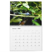 Dragonfly-Kalender 2024 Kalender (Jan 2027)