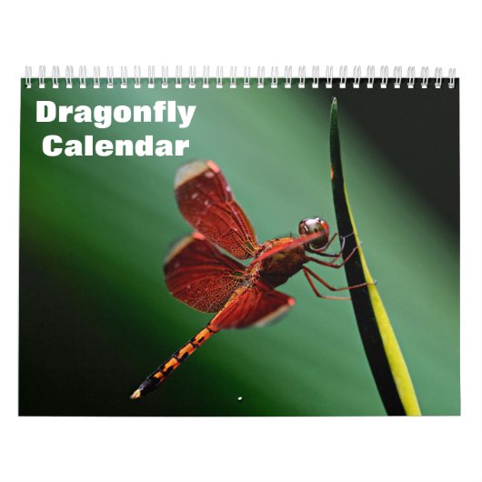 Dragonfly-Kalender 2025 Kalender (Titelbild)
