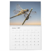 Dragonfly-Kalender 2025 Kalender (Jan 2027)