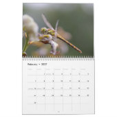 Dragonfly-Kalender 2025 Kalender (Feb 2027)