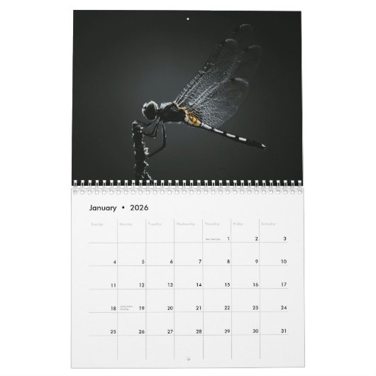 Dragonfly-Kalender 2026 Kalender (Jan 2026)