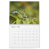 Dragonfly-Kalender Kalender (Feb 2027)
