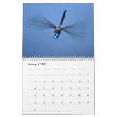 Dragonfly-Kalender Kalender (Jan 2027)
