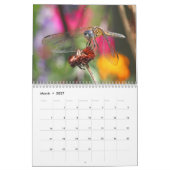 Dragonfly-Kalender Kalender (Mär 2027)