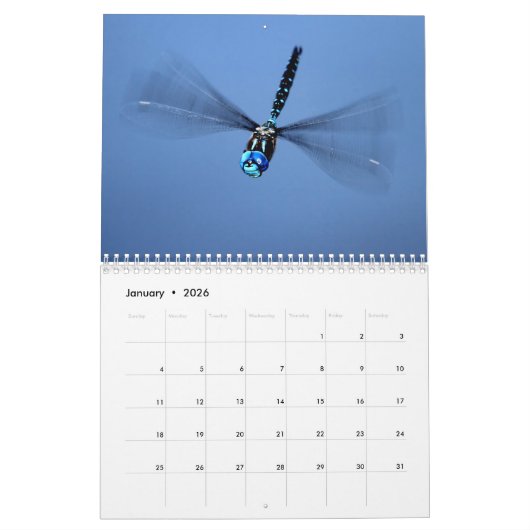 Dragonfly-Kalender Kalender (Jan 2026)