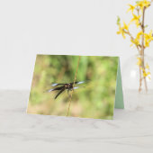 Dragonfly Karte (Gelbe Blume)
