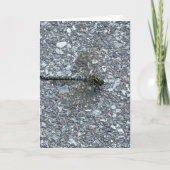 Dragonfly Karte (Vorderseite)