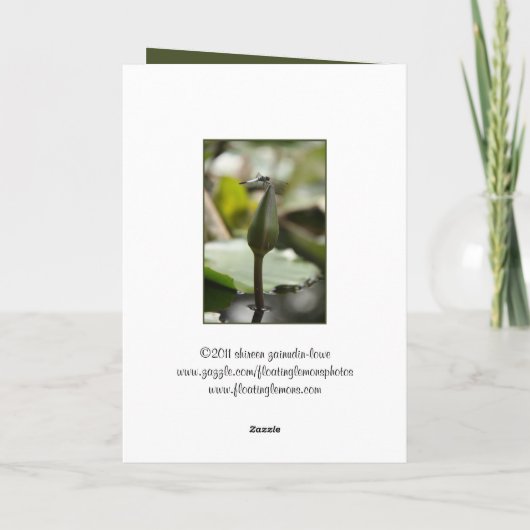 Dragonfly-Karte Karte (Rückseite)